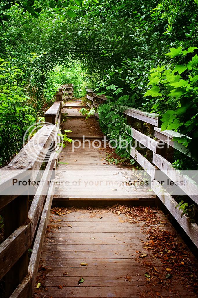 IMAGE: http://i512.photobucket.com/albums/t321/BraesideLaird/2010/15thAprilcopy.jpg