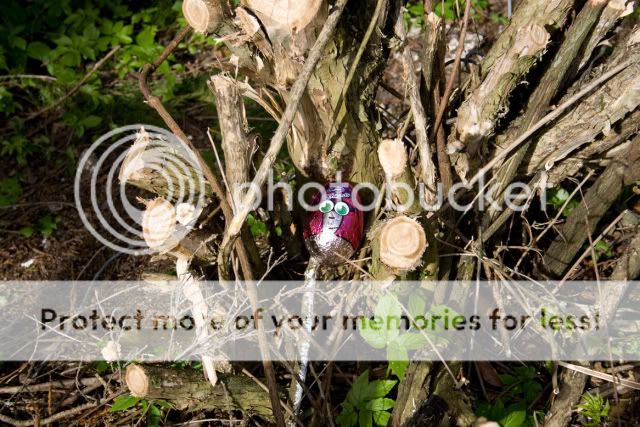 IMAGE: http://i512.photobucket.com/albums/t321/BraesideLaird/EB-IMG_4043.jpg