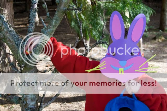 IMAGE: http://i512.photobucket.com/albums/t321/BraesideLaird/EB-IMG_4053.jpg