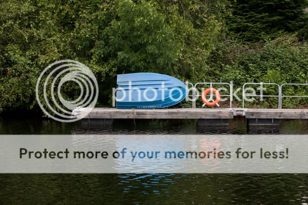 IMAGE: http://i512.photobucket.com/albums/t321/BraesideLaird/IMG_1983web.jpg