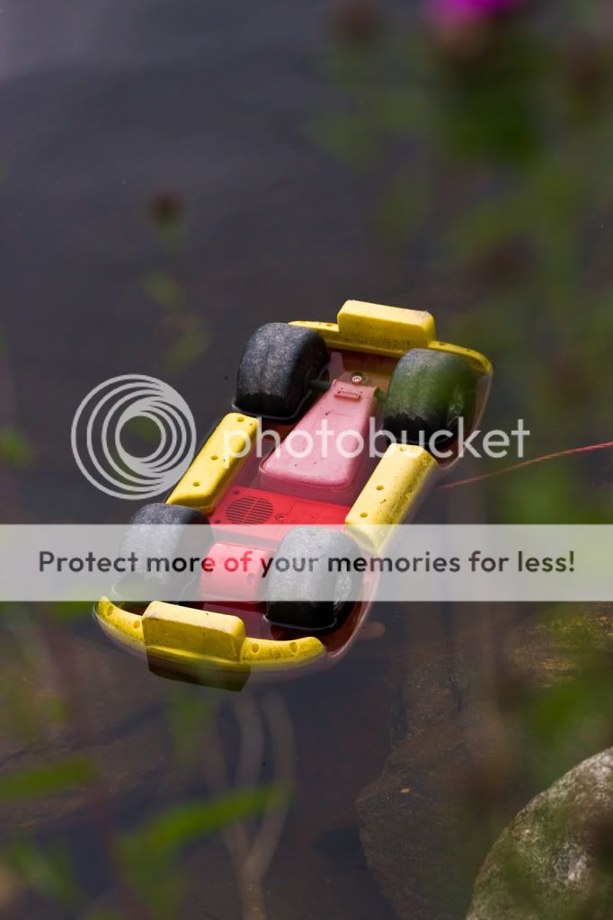 IMAGE: http://i512.photobucket.com/albums/t321/BraesideLaird/IMG_2002web.jpg