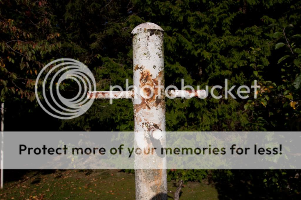 IMAGE: http://i512.photobucket.com/albums/t321/BraesideLaird/IMG_4338before.jpg