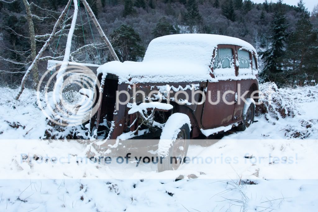 IMAGE: http://i512.photobucket.com/albums/t321/BraesideLaird/IMG_4707.jpg