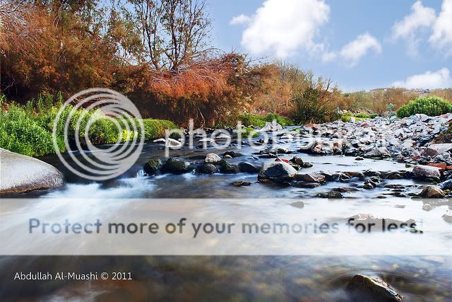 IMAGE: http://i512.photobucket.com/albums/t321/BraesideLaird/withsky.jpg