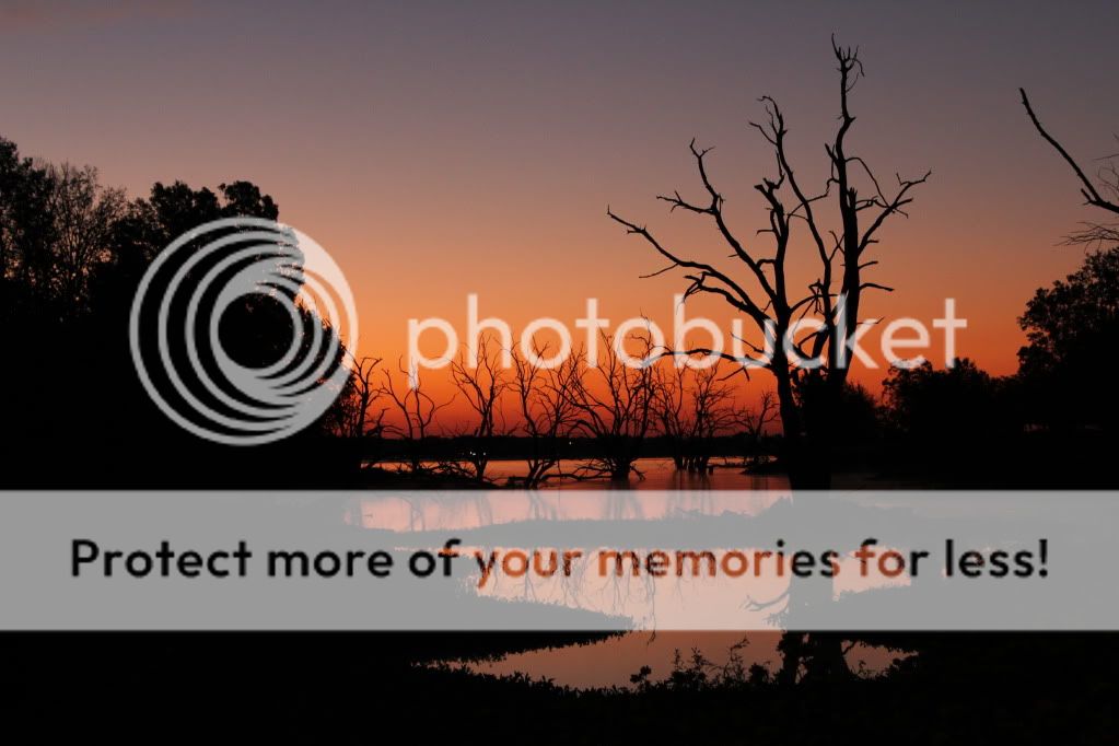 IMAGE: http://i512.photobucket.com/albums/t322/BogiePutt/039.jpg