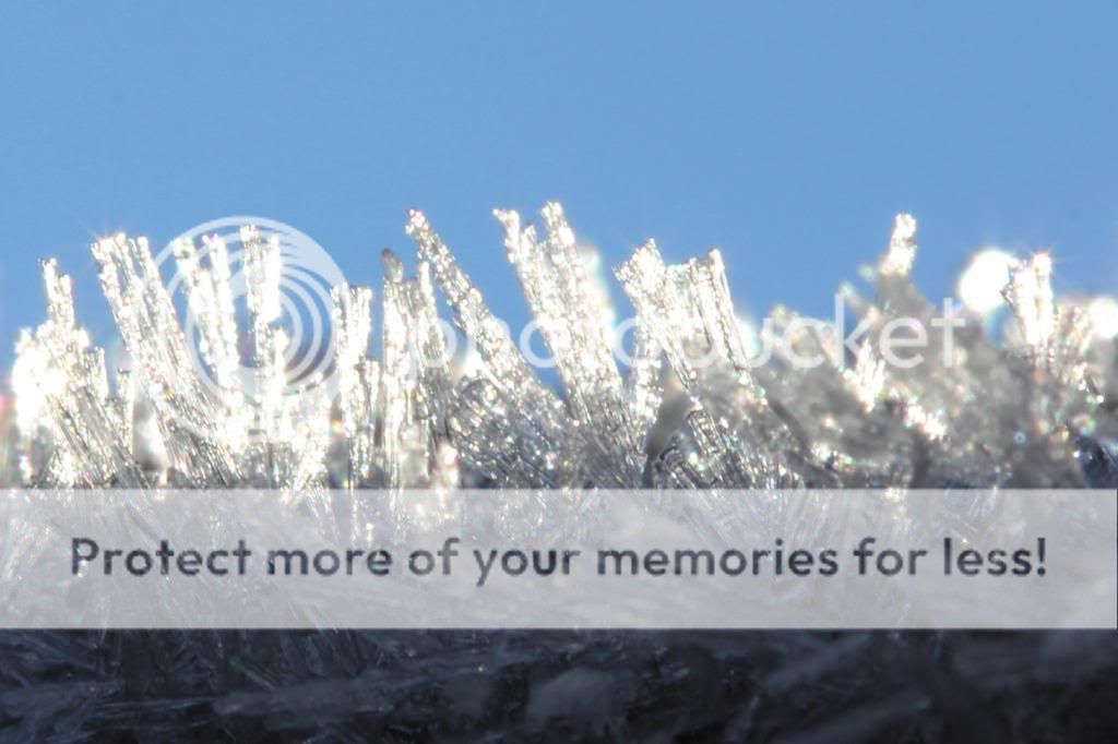 IMAGE: http://i512.photobucket.com/albums/t322/BogiePutt/Frost12112013401_zpsb42b4126.jpg