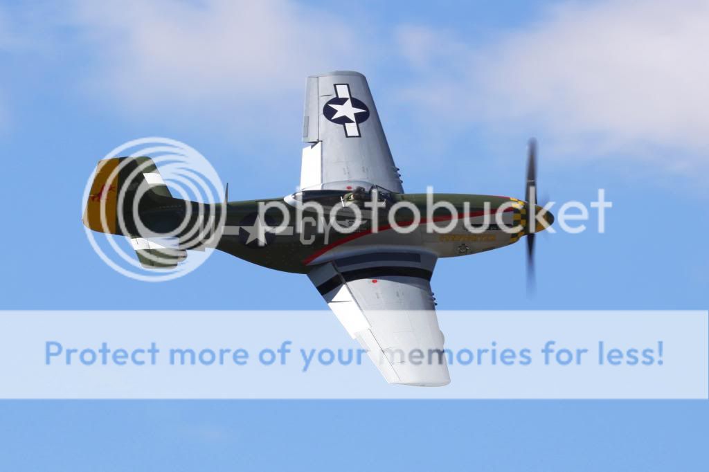 IMAGE: http://i512.photobucket.com/albums/t322/BogiePutt/P10272012490.jpg