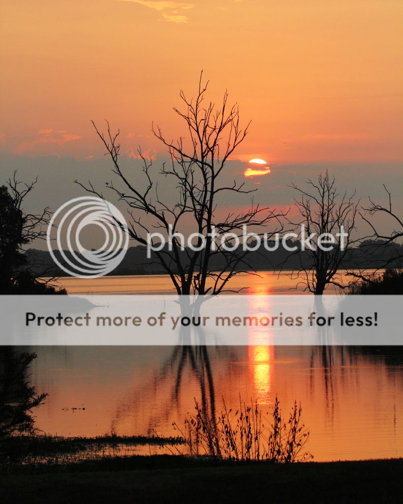 IMAGE: http://i512.photobucket.com/albums/t322/BogiePutt/S08092012078.jpg