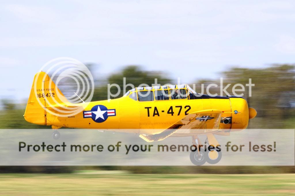 IMAGE: http://i512.photobucket.com/albums/t322/BogiePutt/T10272012266-1.jpg