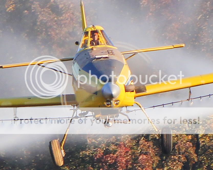 IMAGE: http://i512.photobucket.com/albums/t322/BogiePutt/Warbirds/c1.jpg