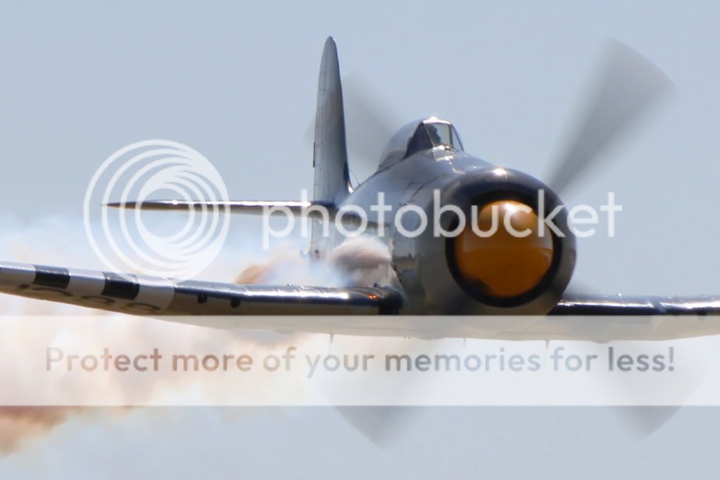 IMAGE: http://i512.photobucket.com/albums/t322/BogiePutt/Warbirds/z8.jpg