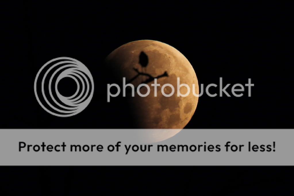 IMAGE: http://i512.photobucket.com/albums/t322/BogiePutt/eclipse39.jpg