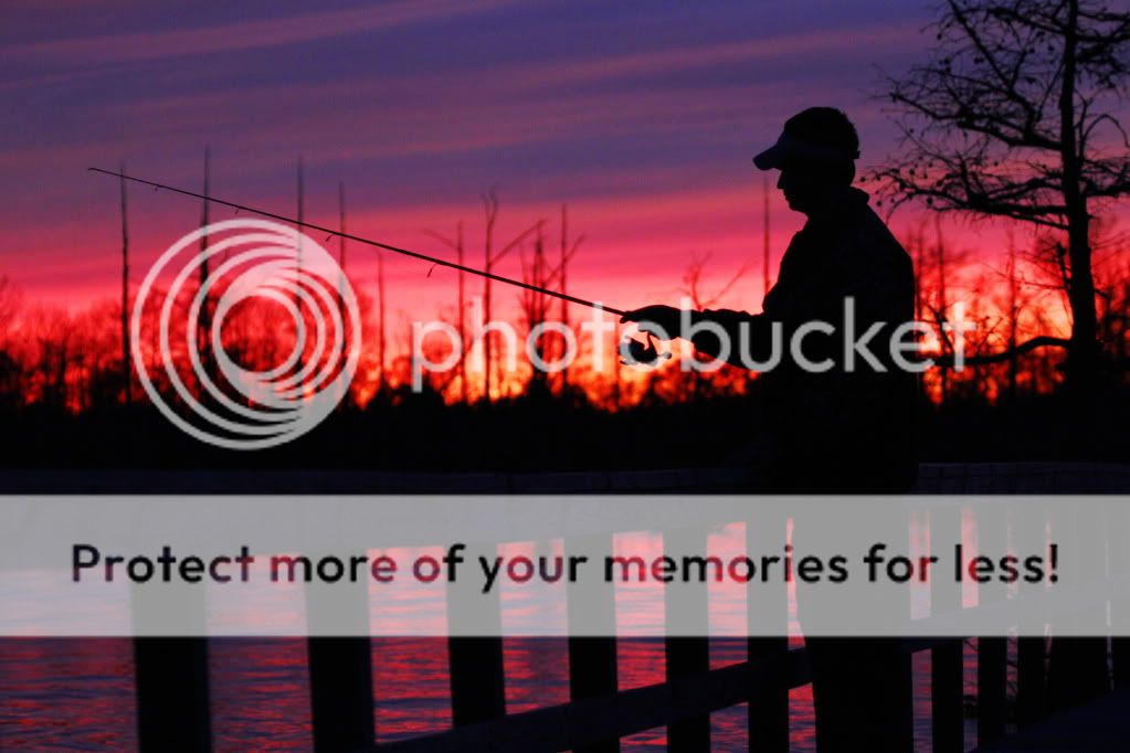 IMAGE: http://i512.photobucket.com/albums/t322/BogiePutt/f223.jpg