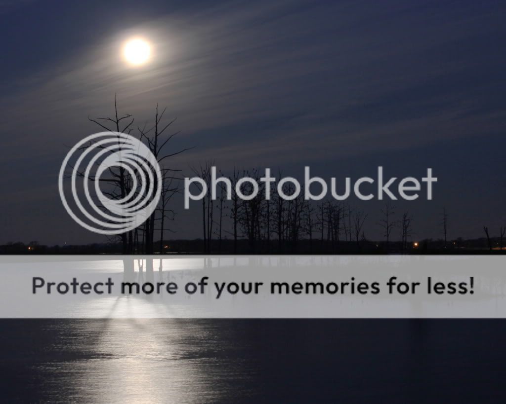 IMAGE: http://i512.photobucket.com/albums/t322/BogiePutt/m11.jpg