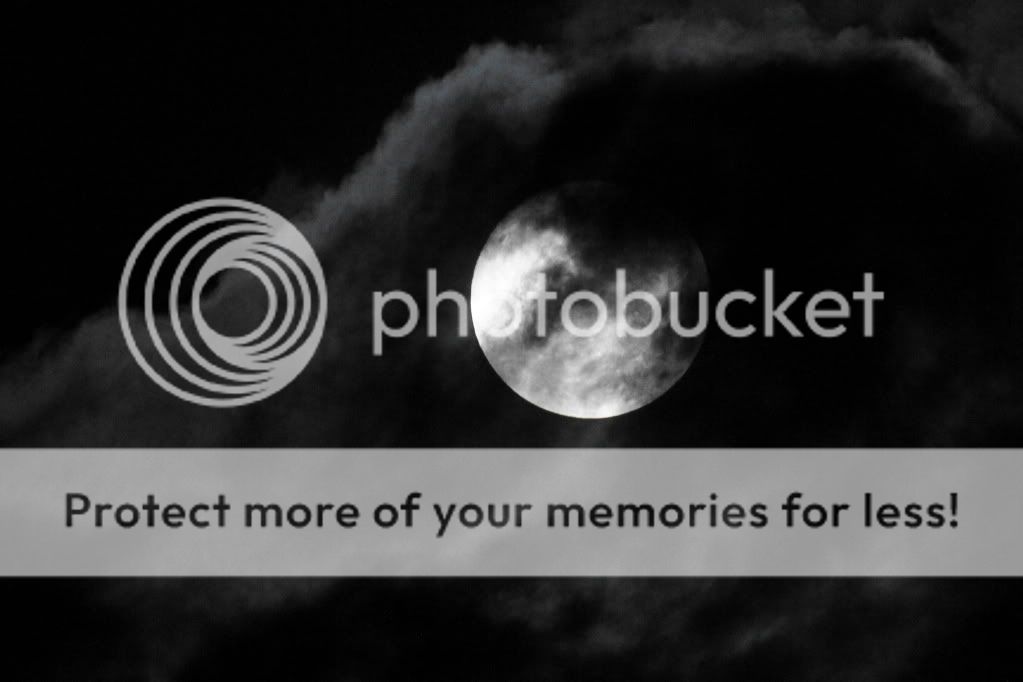 IMAGE: http://i512.photobucket.com/albums/t322/BogiePutt/m5.jpg