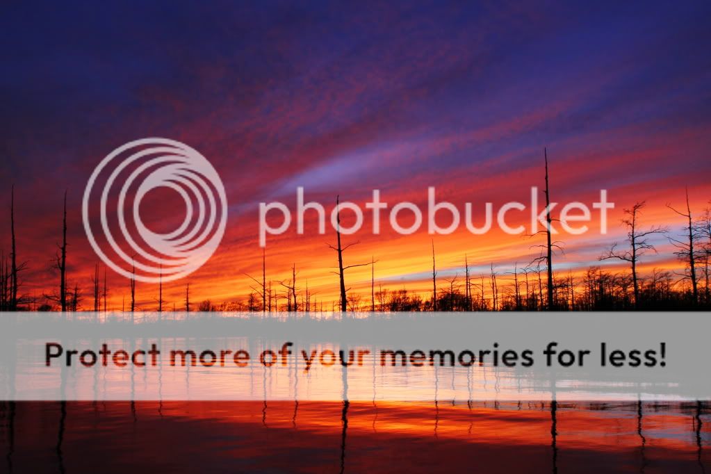 IMAGE: http://i512.photobucket.com/albums/t322/BogiePutt/s182.jpg