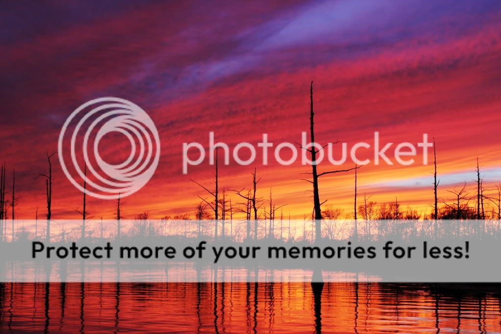 IMAGE: http://i512.photobucket.com/albums/t322/BogiePutt/s198.jpg