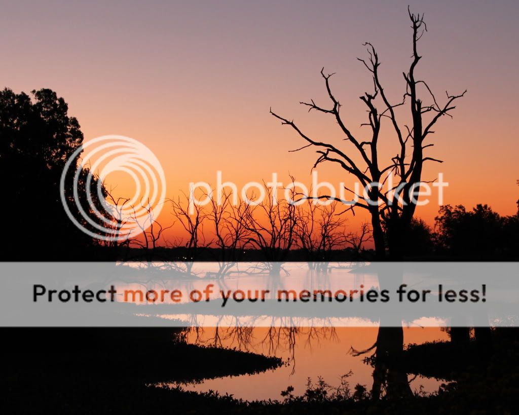 IMAGE: http://i512.photobucket.com/albums/t322/BogiePutt/sunrise2.jpg