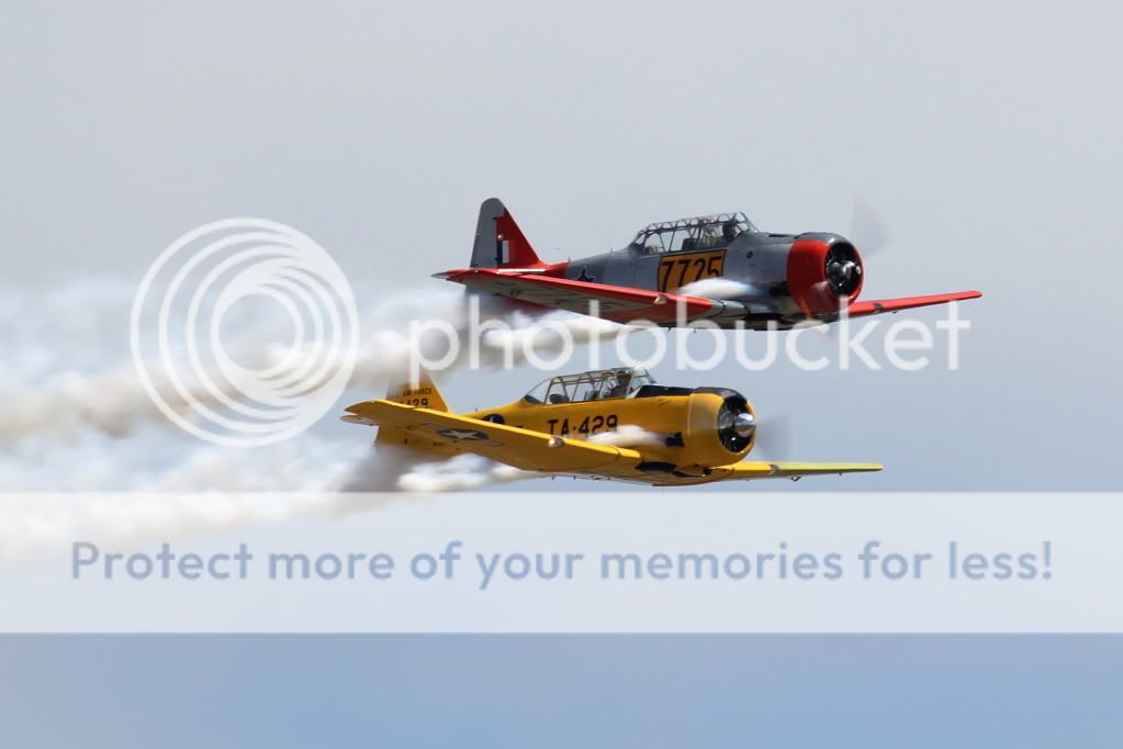 IMAGE: http://i512.photobucket.com/albums/t322/BogiePutt/t615.jpg