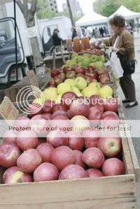greenmarket Locust Grove Fruit Farm sells a variety of apples from Ulster County. Photo by Andrew Schwartz
