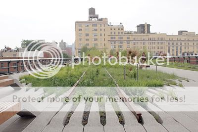 The High Line: a creative way to salvage a relic in disrepair.