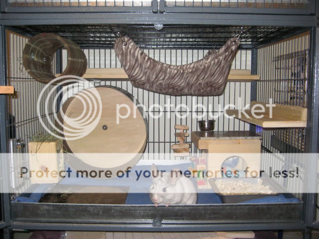 Ferret Nation Chinchilla Cage [] Lunawsome