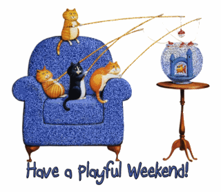  photo we3.gif