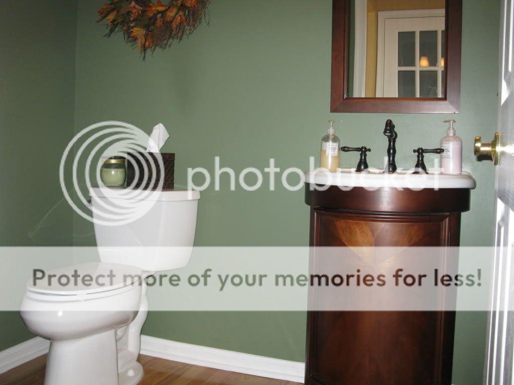 small powder room no window svelte sage