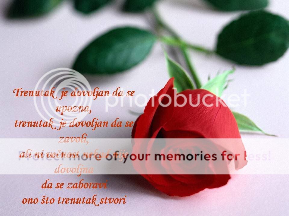 trenutak.jpg